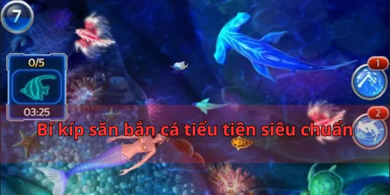 Bí kíp săn bắn cá tiểu tiên siêu chuẩn